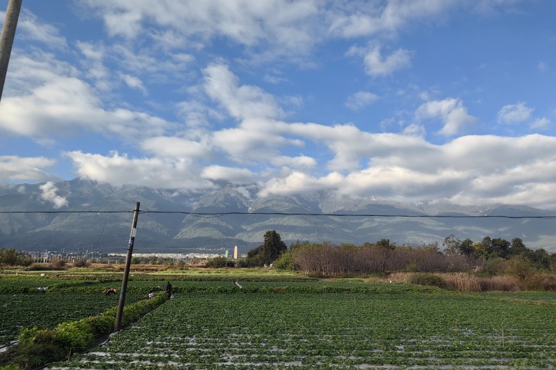 国家甜菜育种联合攻关推进交流会在京召开